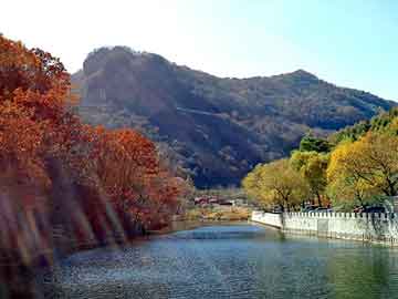 管家婆黑白马报图库，南山装饰公司